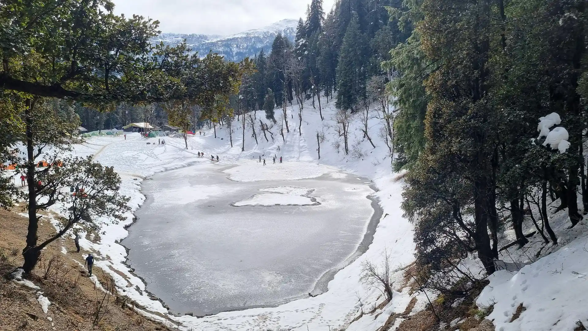Dodital Trek​ image