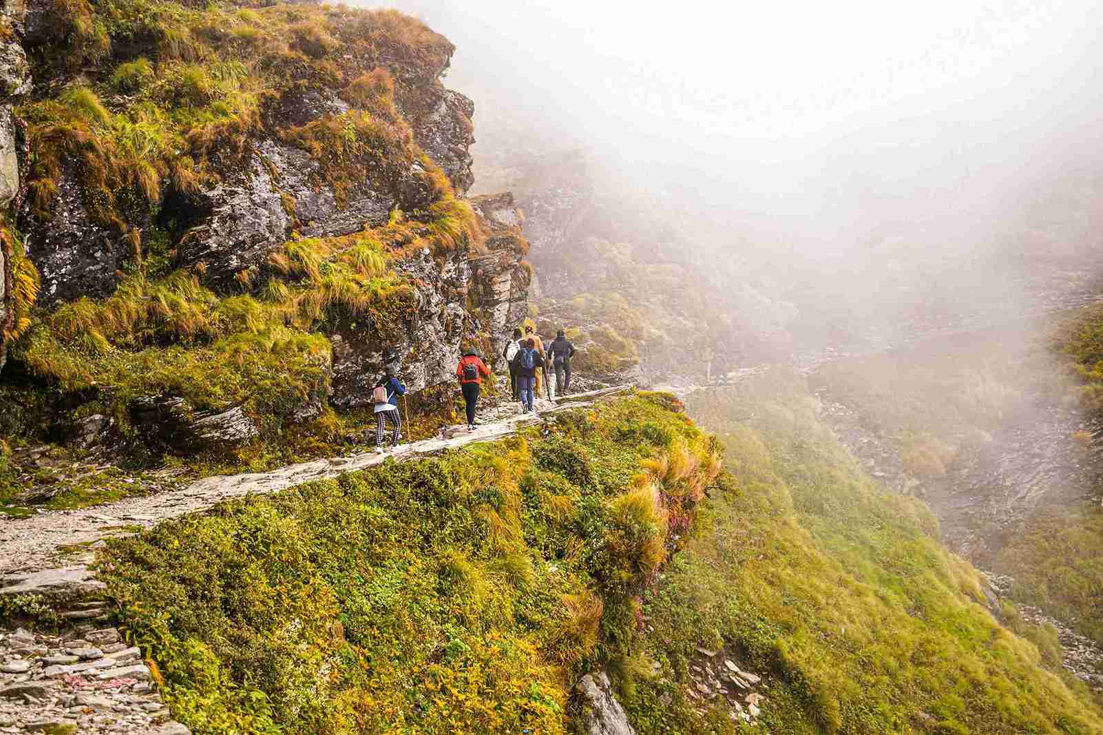 Thajiwas Glacier Trek​
